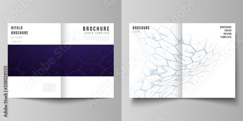 Vector layout of two A4 format modern cover mockups design templates for bifold brochure. Digital technology and big data concept with hexagons, connecting dots and lines, science medical background.