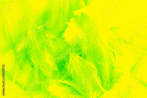 Beautiful Green Feathers Color Background Stock Photo by ©serezniy 574513816