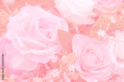 Blurred of rose flowers pink blooming. in the pastel color style for background.