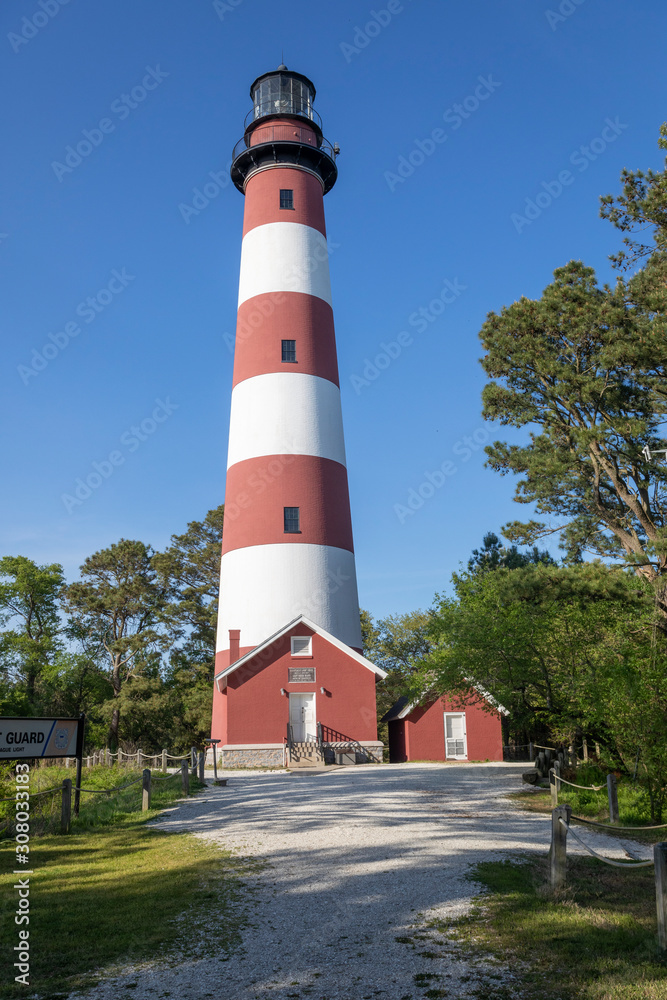 Assateague Island Lighthouse on a Sunny Day