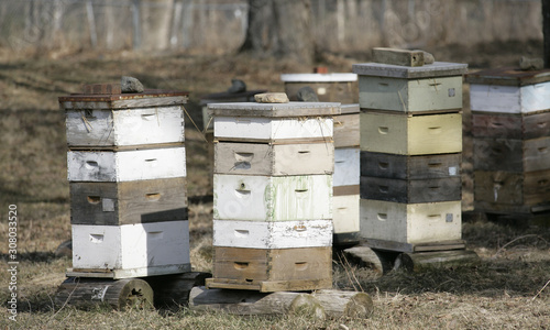 Bee hives waiting for spring and new flowers © Dennis Donohue