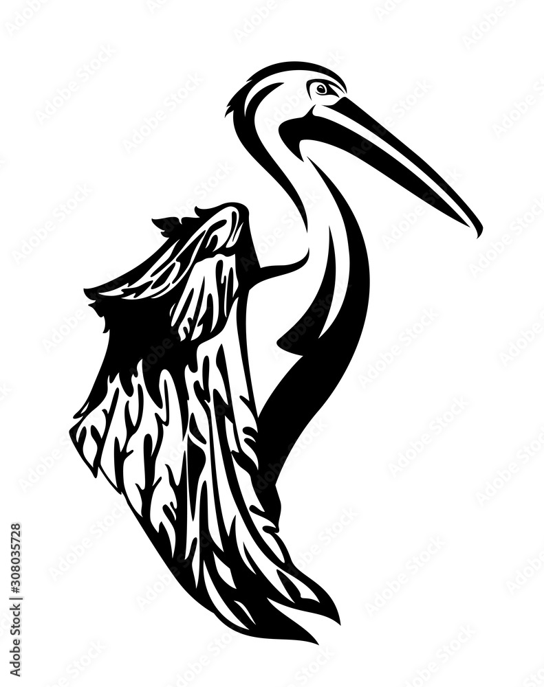 Fototapeta premium pelican bird with beautiful wing side view head black and white vector outline
