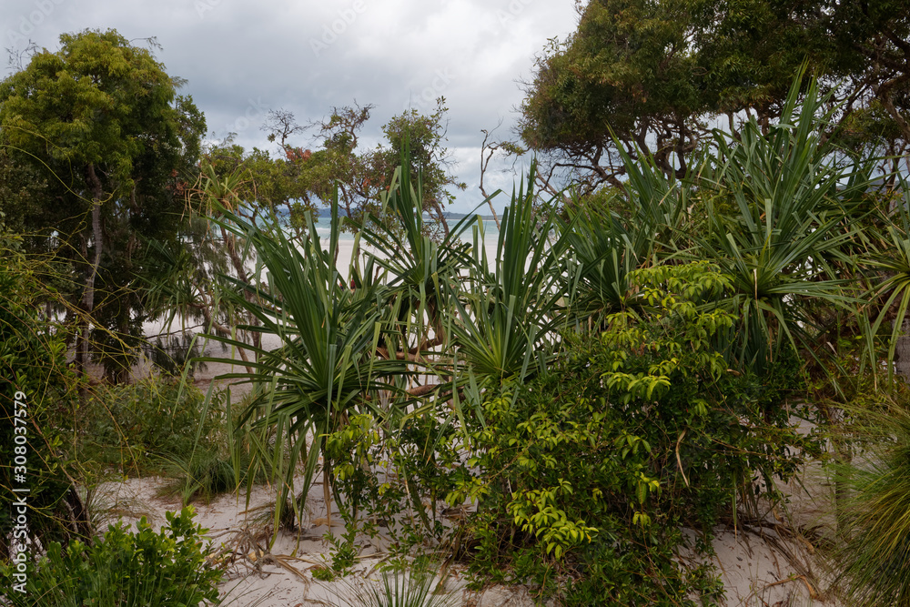 Archipelag Whitsundays, Queensland, Australia Archipelag Whitsundays, Queensland, Australia