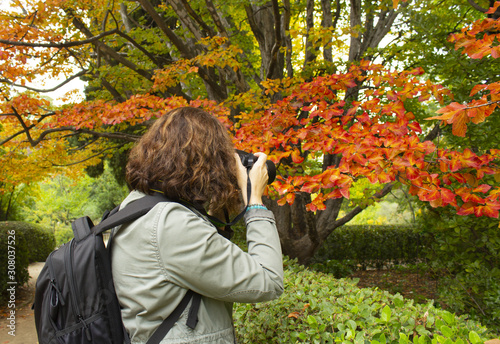 Wallpaper Mural Photographer shoot and autumn tree in the park Torontodigital.ca
