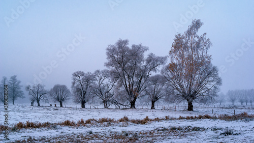 Zimowy krajobraz Podlasia, Polska © podlaski49