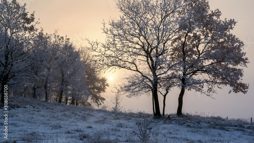 Zimowy krajobraz Podlasia, Polska