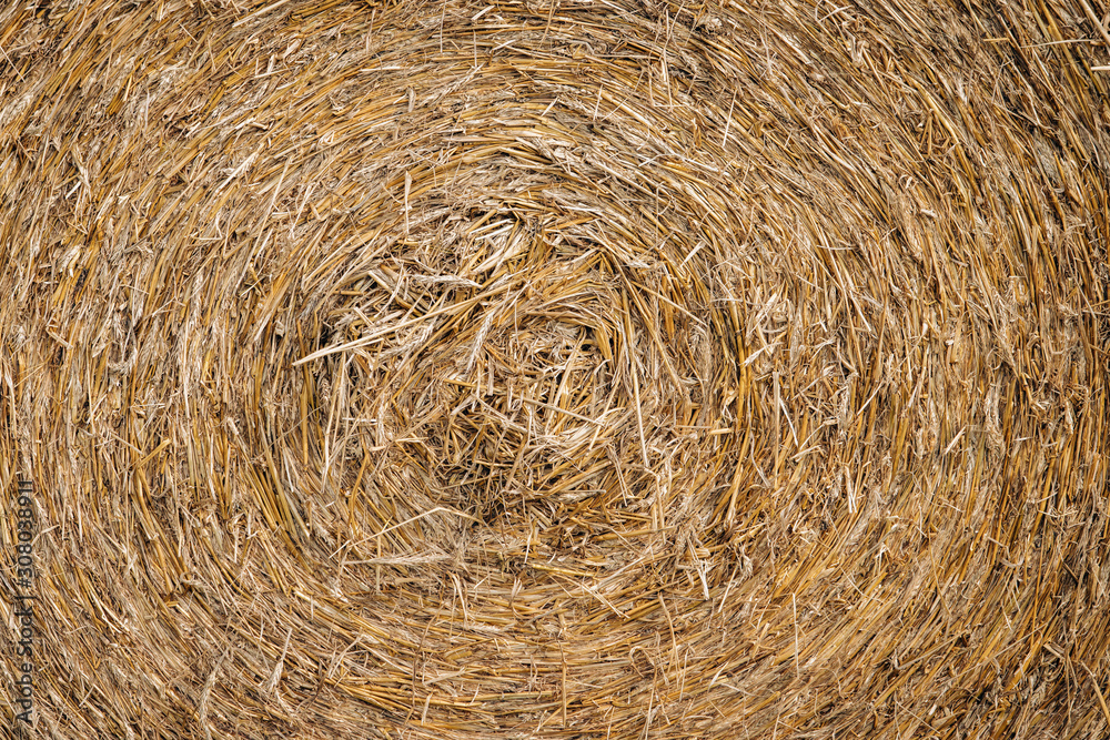 Closeup of a haystack for rural background Closeup of a haystack for rural background