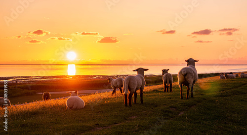 Canvastavla Abendrot Sonnenuntergang an der Nordsee