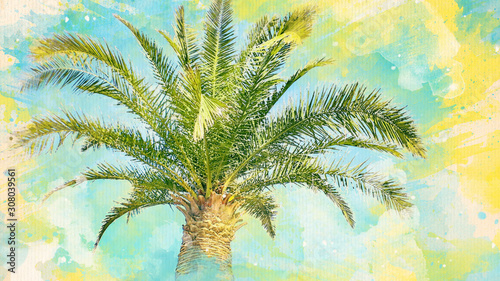 Fototapeta Naklejka Na Ścianę i Meble -  Watercolor pattern of palm tree colorful illustration