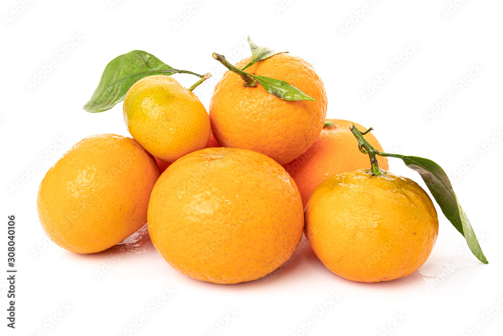 mandarins with leaf isolated on white background mandarins with leaf isolated on white background