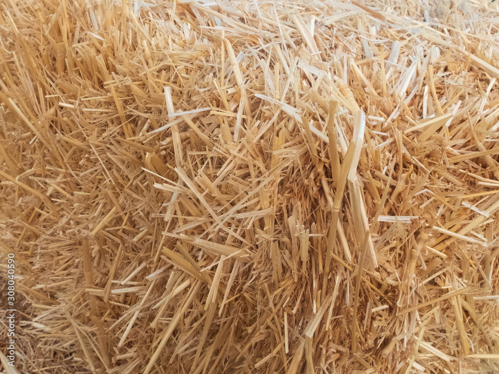 Stacks of dry straw. Piled straw haystacks. Natural dry straw texture background Stacks of dry straw. Piled straw haystacks. Natural dry straw texture background