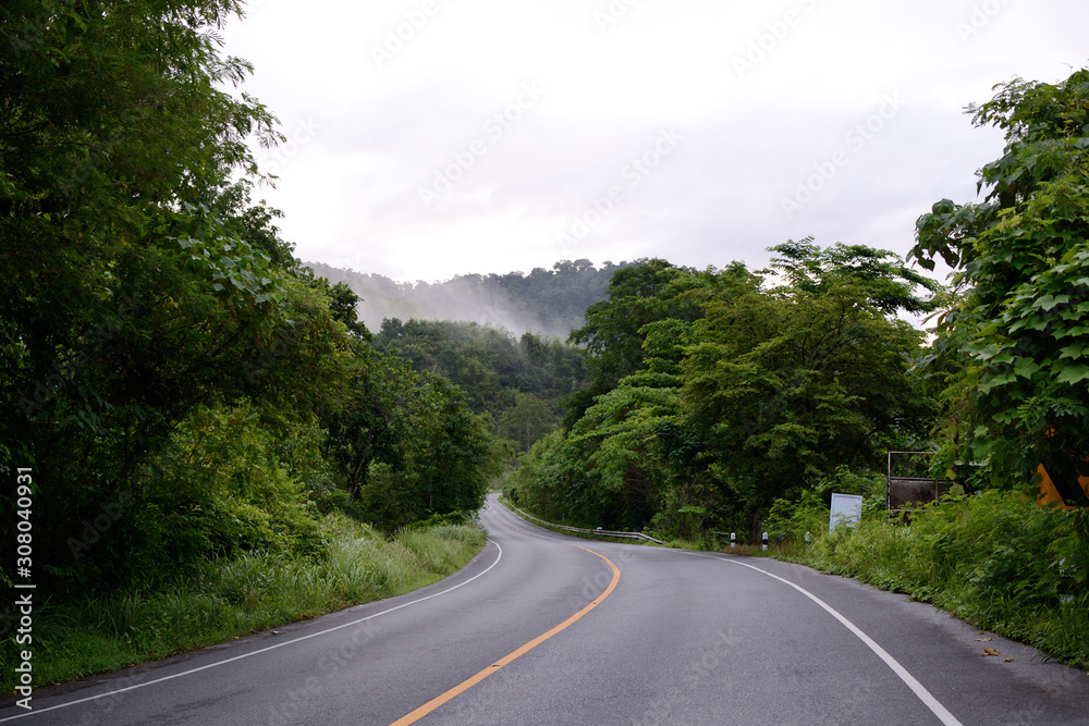 curvy green road view, forest and mountains