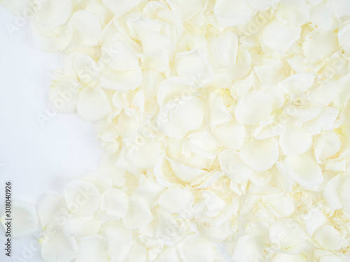 Frame made of white rose petals