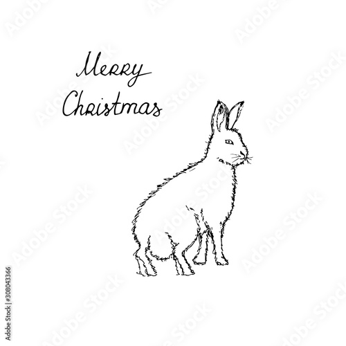 Polar arctic white rabbit. Black outline on white background. Picture can be used in greeting cards, posters, flyers, banners, logo, further design etc. Vector illustration. EPS10