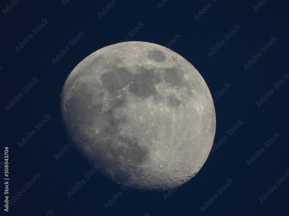 lune lune