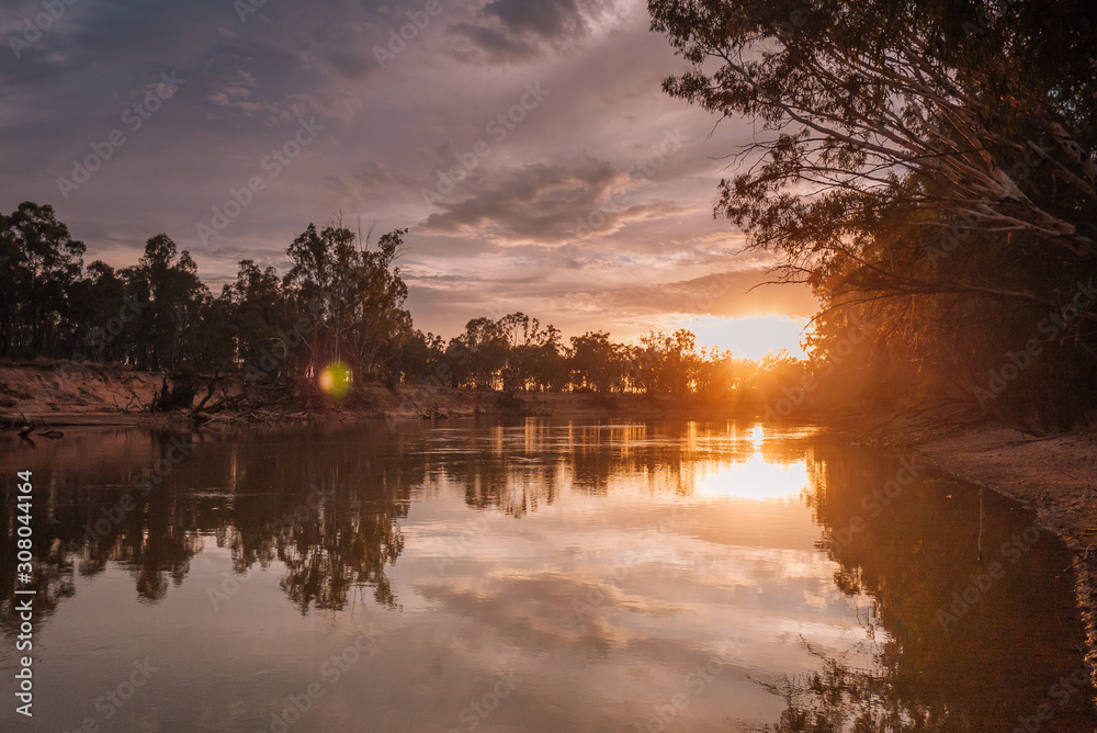 Obraz premium Big river flowing through the primeval forest with clear sky in Victoria, Australia. Murray River.