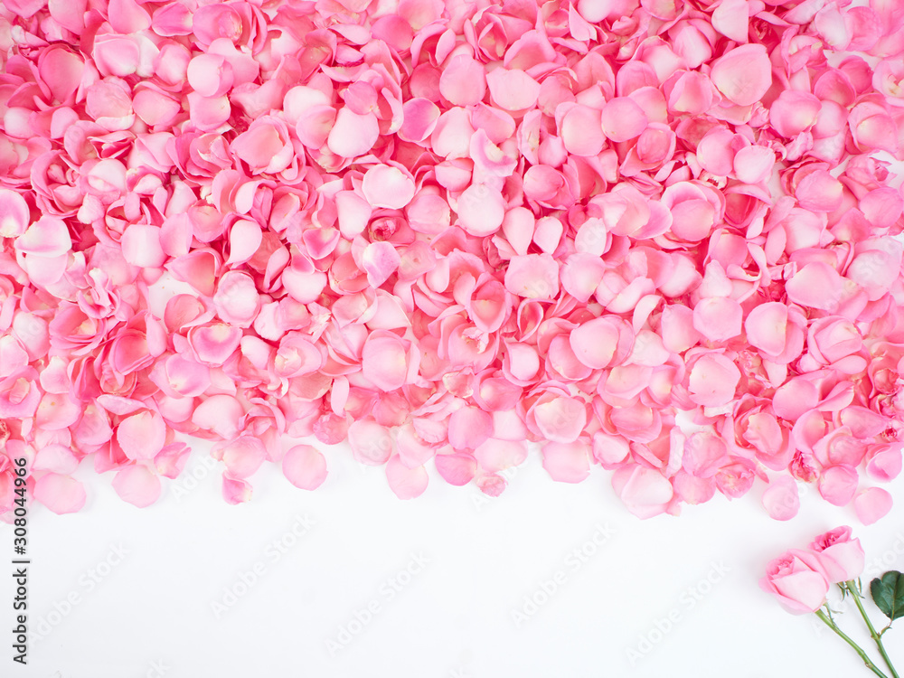 Frame made of pink rose petals Frame made of pink rose petals