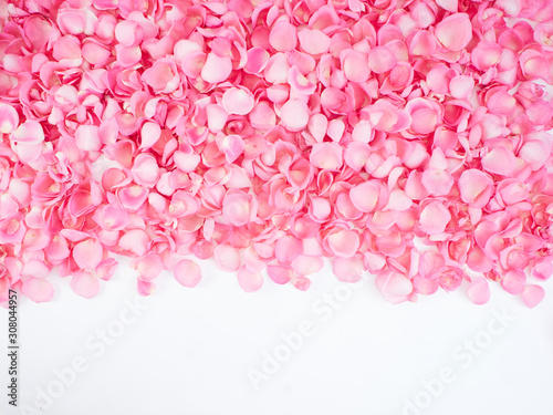 Frame made of pink rose petals