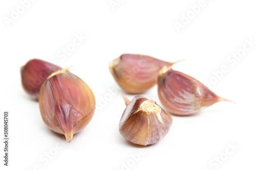 many garlic cloves on a white background