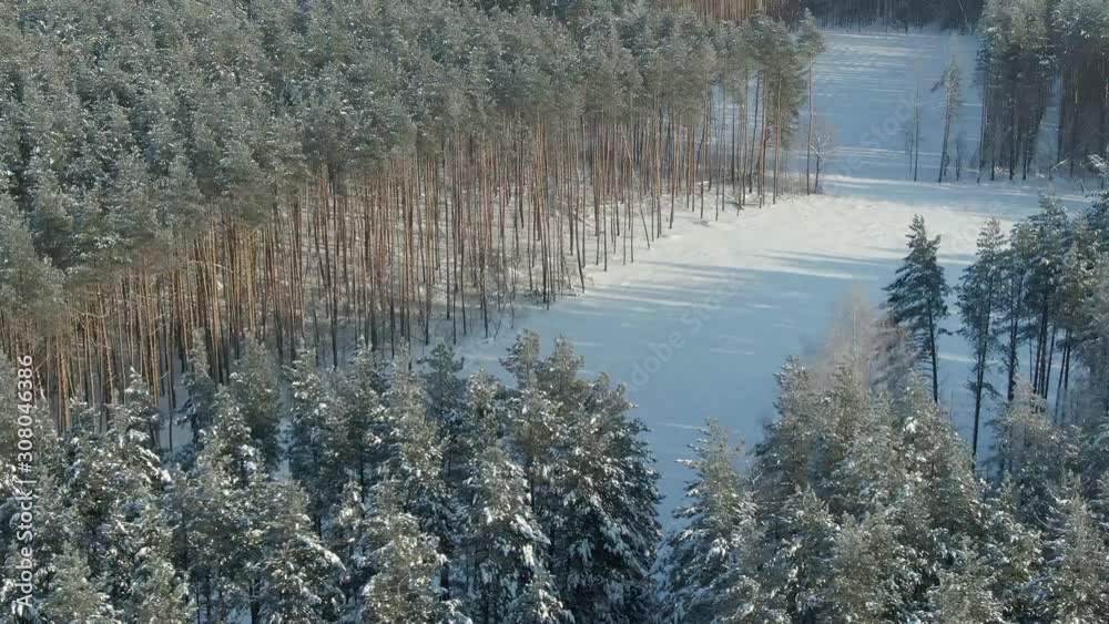 Aerial photography flight over the snow-covered winter forest. Winter landscape a large amount of snow on the branches of trees. Aerial photography flight over the snow-covered winter forest. Winter landscape a large amount of snow on the branches of trees.