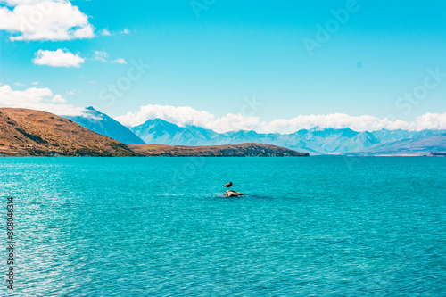 Lake Tekapo, New Zealand © Hui Min