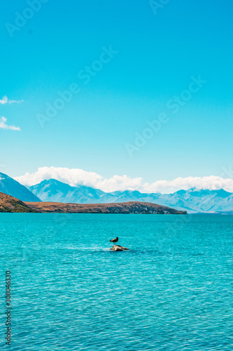 Lake Tekapo, New Zealand photo