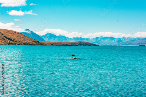 Lake Tekapo, New Zealand © Hui Min