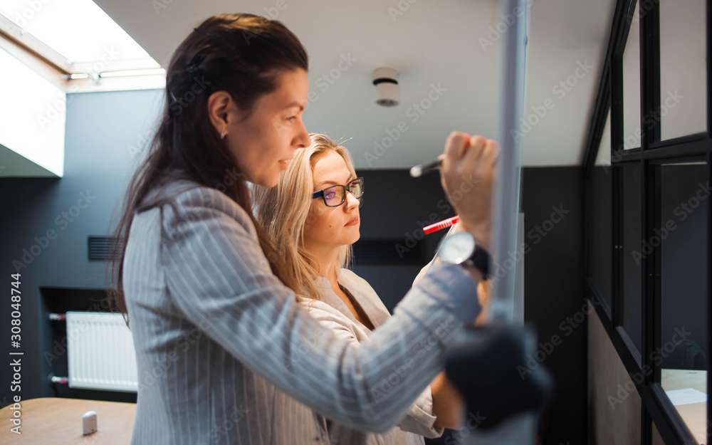Teamwork, project management, agile methodology. Two young business women in the office are working on a startup.