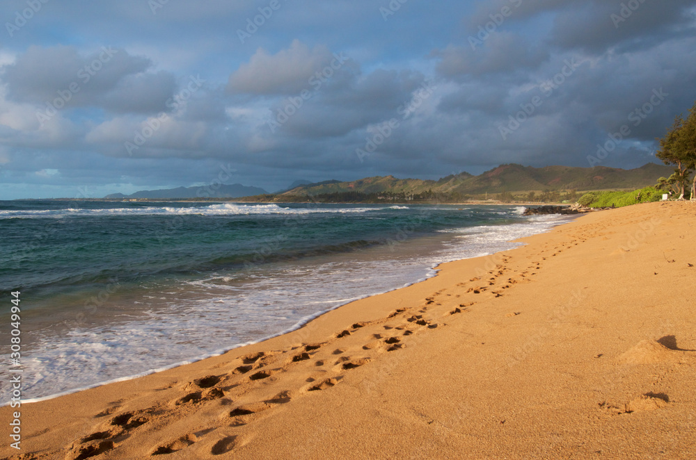 Fototapeta premium Hawaii - Meer
