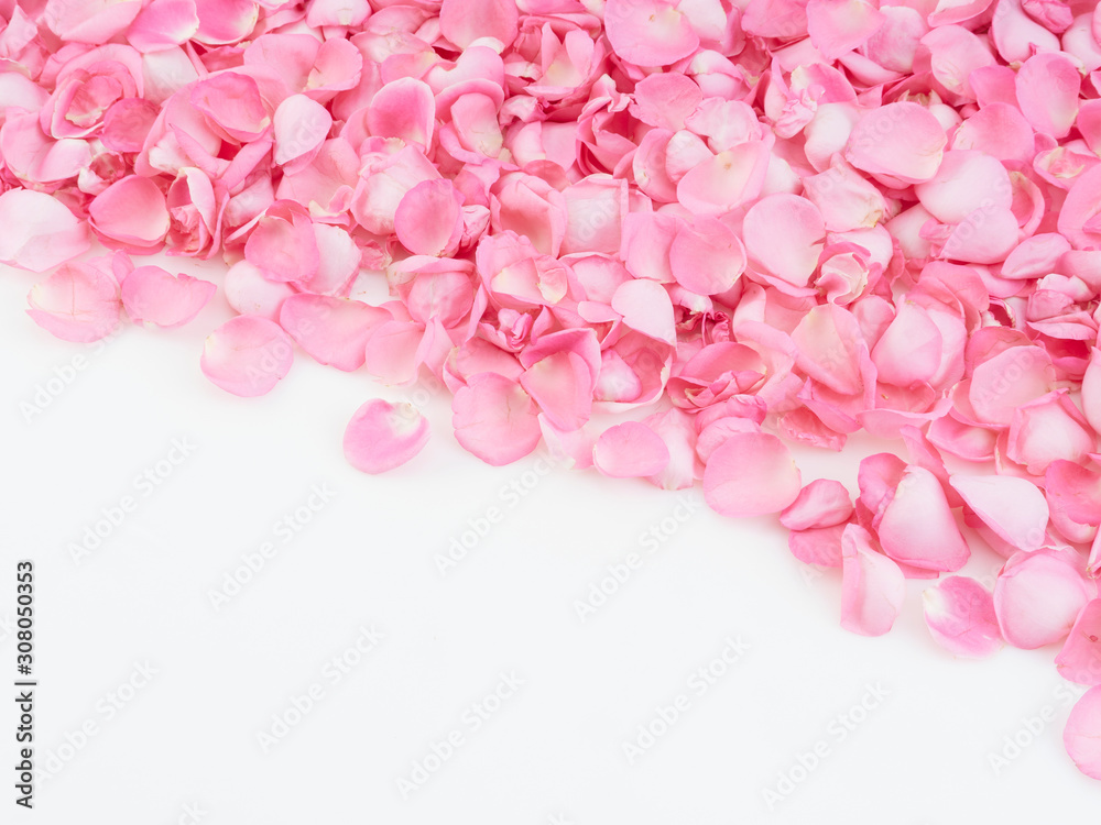 Frame made of pink rose petals Frame made of pink rose petals