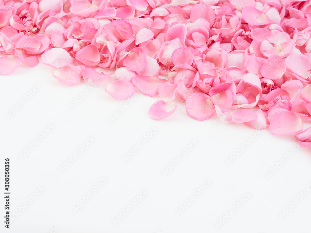 Obraz premium Frame made of pink rose petals