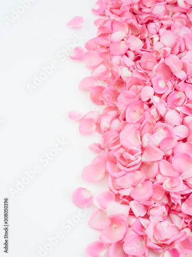 Fototapeta Naklejka Na Ścianę i Meble -  Frame made of pink rose petals