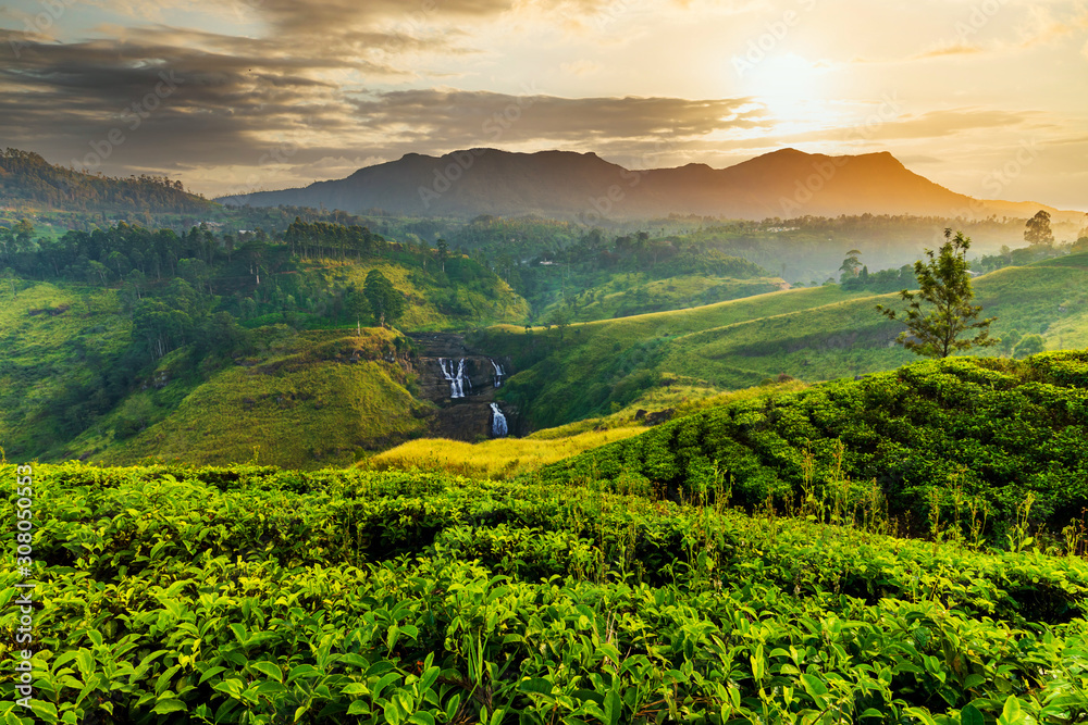 Tableau sur toile Tea plantation and St Claire waterfall at sunrise, Sri Lanka