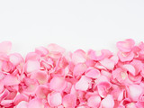 Frame made of pink rose petals