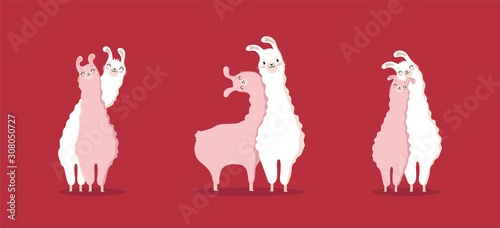 Collection llama in love. Typography poster,card,label,banner design set with background.Vector illustration.