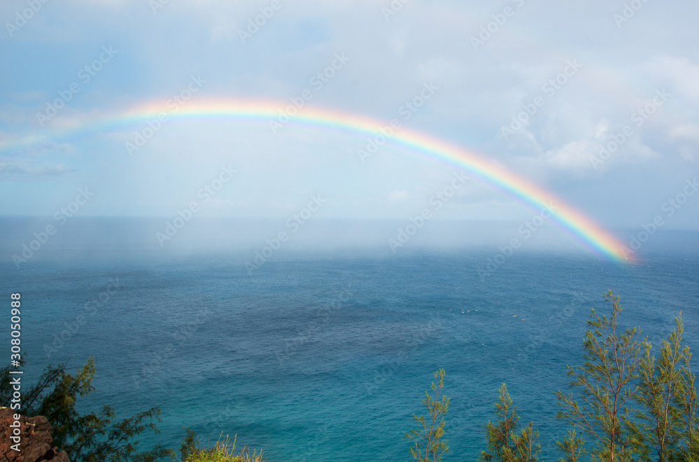 Fototapeta premium Hawaii - Na Pali Coast
