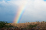 Moloka'i - Regenbogen