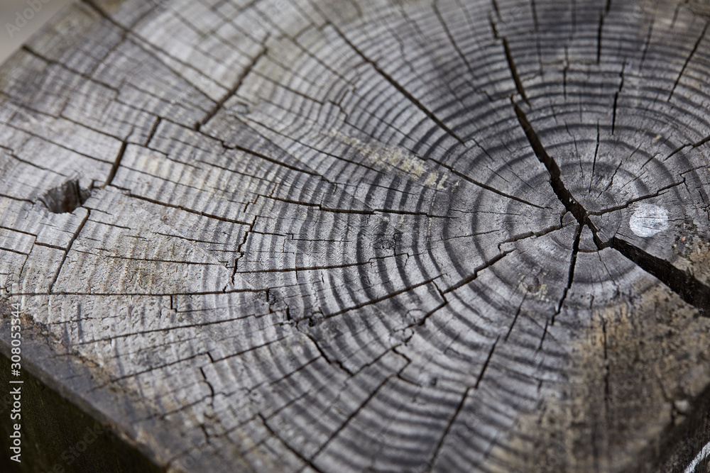 Fototapeta premium old wooden texture for background