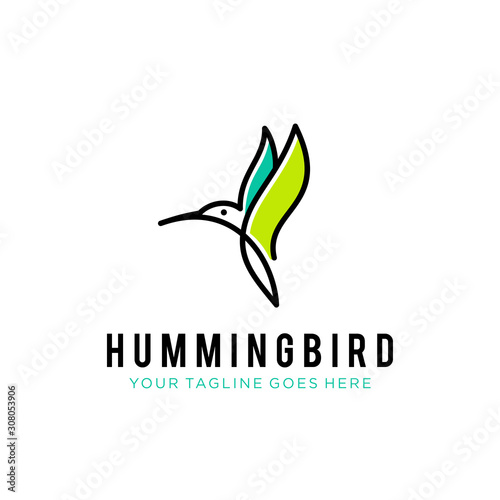 flying bird logo design template with linear concept style. vector illustration of hummingbird/colibri in outline, monoline style