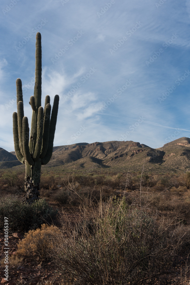 Vertical of Superstition Mountains, Arizona.