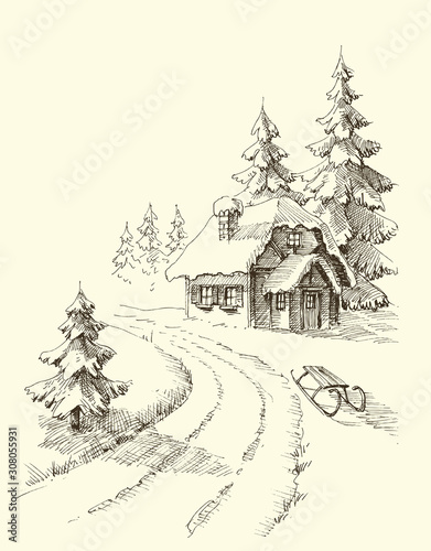 Nature in winter season, pine trees and a house in the snowy landscape