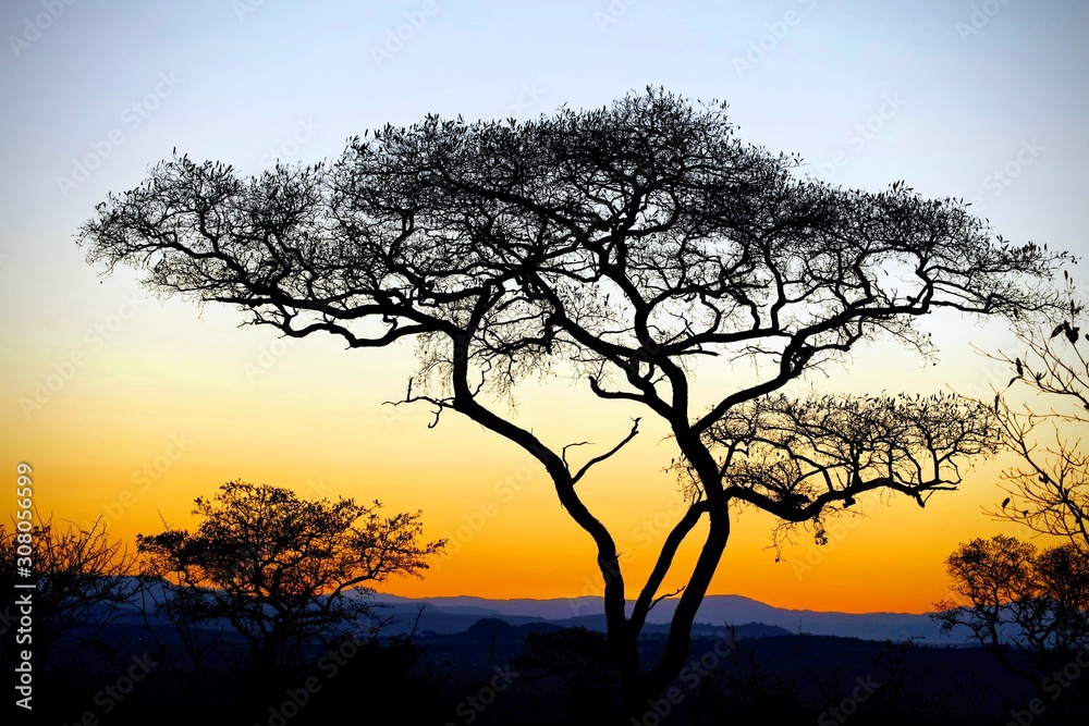 african sunset