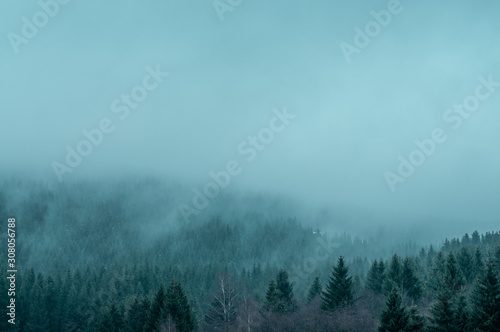 Beautiful winter mountain nature landscape scenery with moody weather clouds and pine tree silhouettes in the fog clouds. Mountain Forest, Brocken, Harz National Park Mountains in Germany © Ricardo