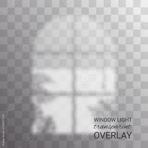 Shadow, photography overlay effects mock up, window frame natural interior light. Window frame with plant near window and jalousie ,Vector illustration
