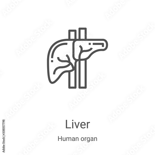 liver icon vector from human organ collection. Thin line liver outline icon vector illustration. Linear symbol for use on web and mobile apps, logo, print media