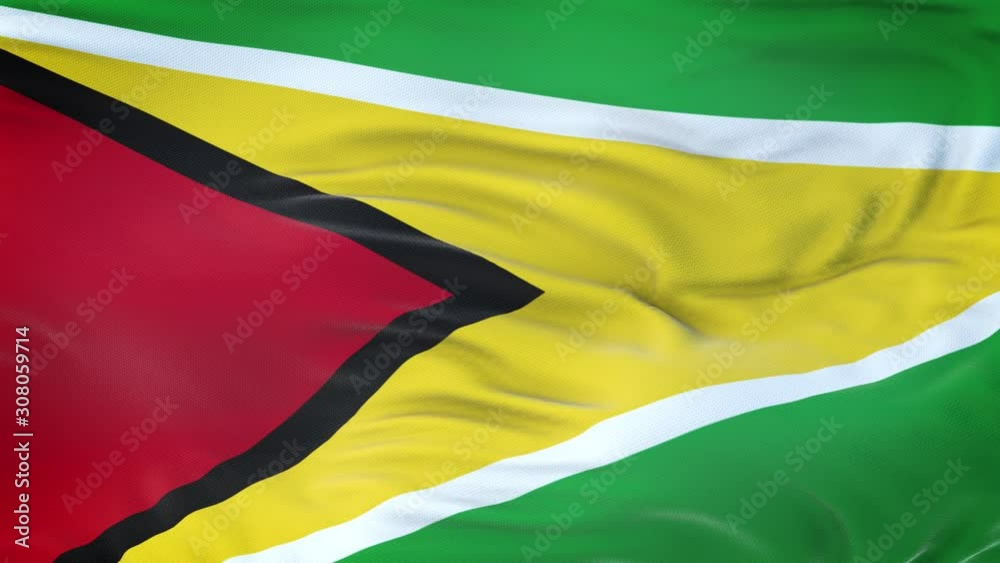 Guyana flag waving in the wind with highly detailed fabric texture. Seamless loop Guyana flag waving in the wind with highly detailed fabric texture. Seamless loop