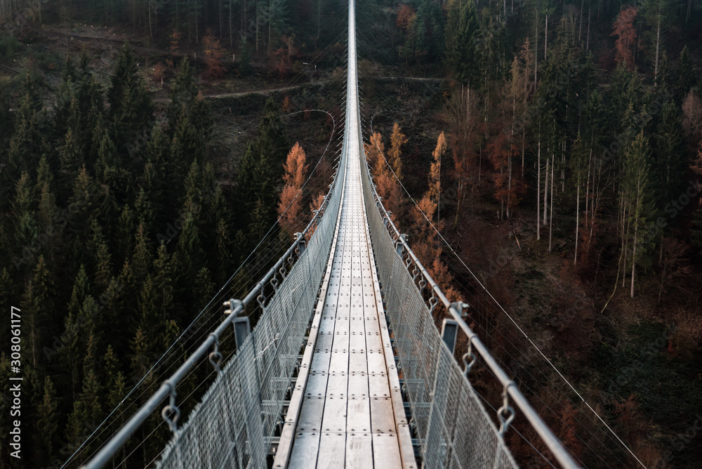Obraz premium Suspension Bridge
