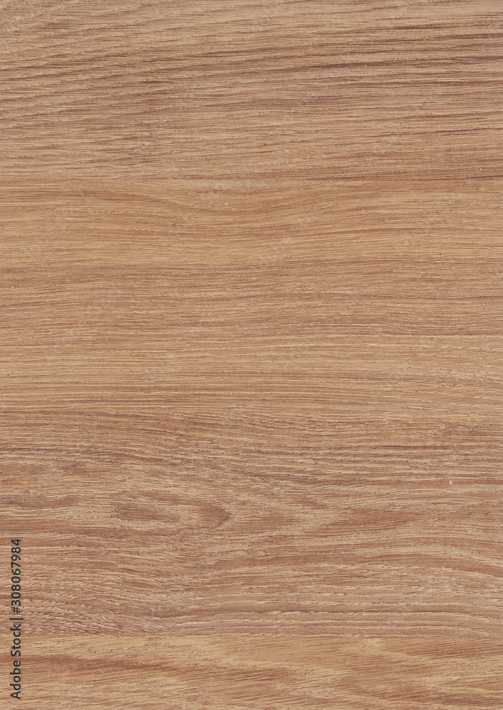 The wood texture background, light weathered rustic oak. For cards, invitations, identity, books, advertisement, magazine textile and interior decoration The wood texture background, light weathered rustic oak. For cards, invitations, identity, books, advertisement, magazine textile and interior decoration
