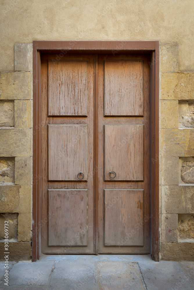 Grunge wooden aged door on grunge stone bricks wall Grunge wooden aged door on grunge stone bricks wall