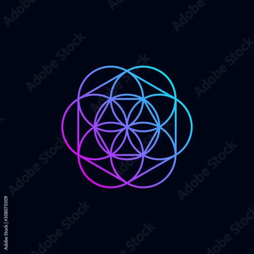 geometry minimalist vector with simple line art shape and purple color gradient. abstract vector pattern. modern innovate design logo template.